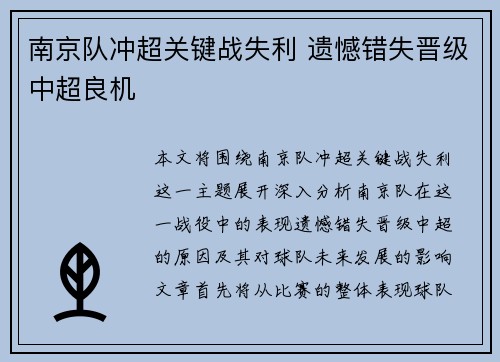 南京队冲超关键战失利 遗憾错失晋级中超良机